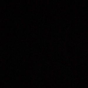 Meet your Posher, Cody